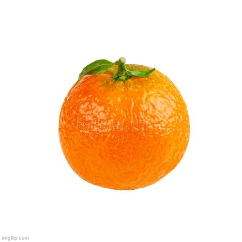 Orange | image tagged in orange | made w/ Imgflip meme maker