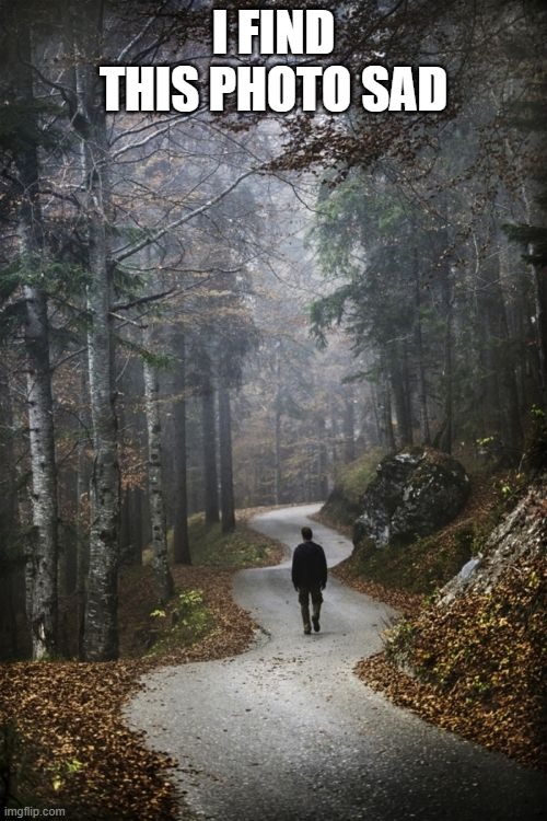 Man Walking Alone In woods | I FIND THIS PHOTO SAD | image tagged in man walking alone in woods | made w/ Imgflip meme maker