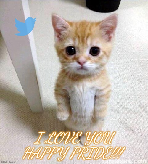 It's June and I'm proud | I LOVE YOU HAPPY PRIDE!!! | image tagged in memes,cute cat | made w/ Imgflip meme maker