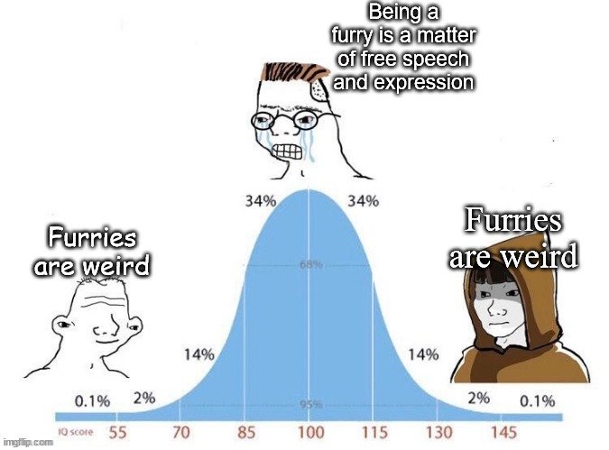 Bell Curve | Being a furry is a matter of free speech and expression; Furries are weird; Furries are weird | image tagged in bell curve | made w/ Imgflip meme maker