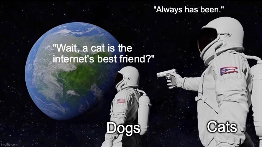 Cats Rule and Dogs Drool | "Always has been."; "Wait, a cat is the internet's best friend?"; Dogs; Cats | image tagged in memes,always has been | made w/ Imgflip meme maker