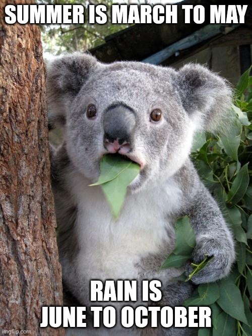 Surprised Koala Meme | SUMMER IS MARCH TO MAY; RAIN IS JUNE TO OCTOBER | image tagged in memes,surprised koala | made w/ Imgflip meme maker