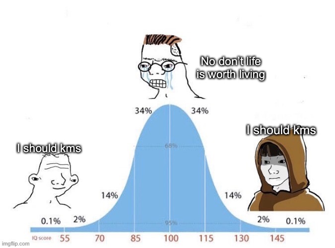 stay in your comfort bubble kid | No don’t life is worth living; I should kms; I should kms | image tagged in bell curve | made w/ Imgflip meme maker