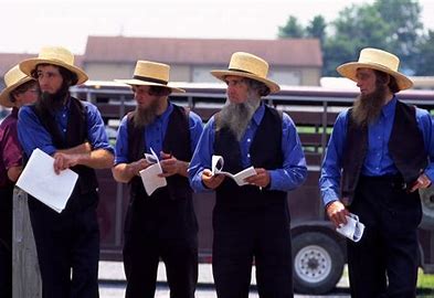 High Quality Amish Rake Fight 3 Blank Meme Template