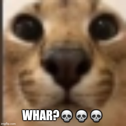 Whar | WHAR???? | image tagged in whar | made w/ Imgflip meme maker