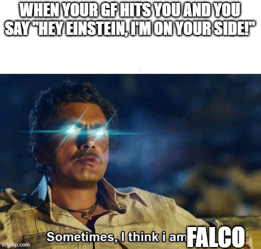 falco in a nutsheck | WHEN YOUR GF HITS YOU AND YOU SAY "HEY EINSTEIN, I'M ON YOUR SIDE!"; FALCO | image tagged in sometimes i think i am god,star fox | made w/ Imgflip meme maker