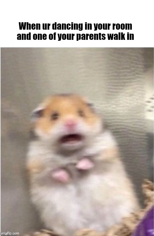 Scariest thing ever bro | When ur dancing in your room and one of your parents walk in | image tagged in scared hamster | made w/ Imgflip meme maker