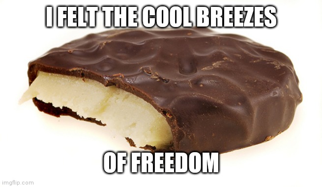 Peppermint Patty | I FELT THE COOL BREEZES OF FREEDOM | image tagged in peppermint patty | made w/ Imgflip meme maker