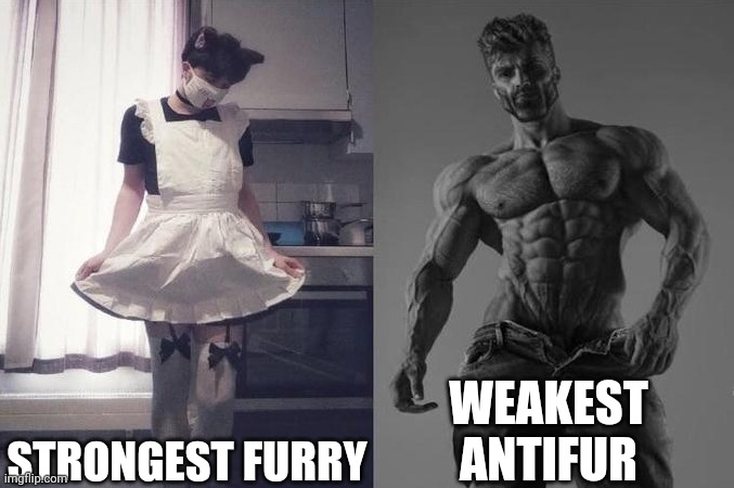 Strongest Fan VS Weakest Fan | STRONGEST FURRY; WEAKEST ANTIFUR | image tagged in strongest fan vs weakest fan | made w/ Imgflip meme maker