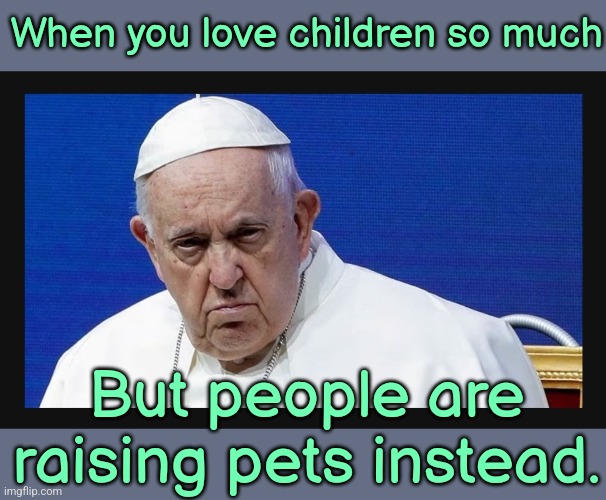 Selfish People think of these poor folks | When you love children so much; But people are raising pets instead. | image tagged in children,europe,america,pedophile,church,pope francis | made w/ Imgflip meme maker