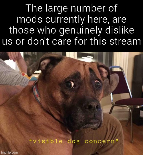 With one or two people who don't hate us completely | The large number of mods currently here, are those who genuinely dislike us or don't care for this stream; *visible dog concern* | image tagged in constantly concerned canine | made w/ Imgflip meme maker