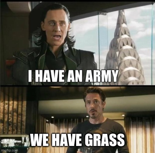 We have a Hulk | WE HAVE GRASS | image tagged in we have a hulk | made w/ Imgflip meme maker