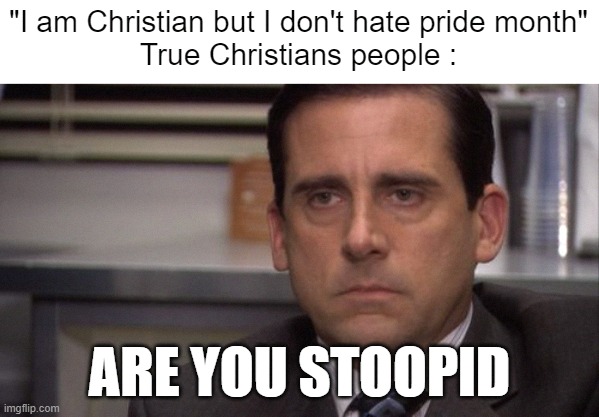 seriously? | "I am Christian but I don't hate pride month"
True Christians people :; ARE YOU STOOPID | image tagged in are you kidding me,memes,funny,fun,funny memes | made w/ Imgflip meme maker