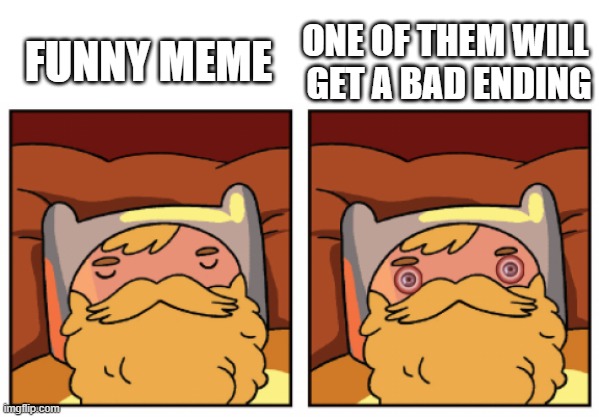 Finn Wakes Up | FUNNY MEME ONE OF THEM WILL 
GET A BAD ENDING | image tagged in finn wakes up | made w/ Imgflip meme maker