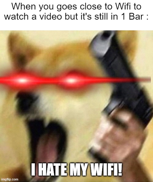 I HATE MY WIFI BRO | When you goes close to Wifi to watch a video but it's still in 1 Bar :; I HATE MY WIFI! | image tagged in angry doge with gun,doge,memes,funny,funny memes | made w/ Imgflip meme maker
