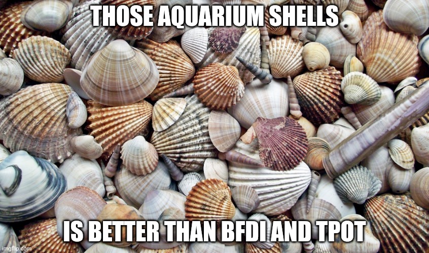Seashells | THOSE AQUARIUM SHELLS; IS BETTER THAN BFDI AND TPOT | image tagged in seashells | made w/ Imgflip meme maker