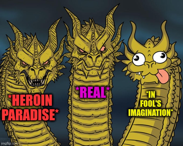 -Let me be there! | *REAL*; *IN FOOL'S IMAGINATION*; *HEROIN PARADISE* | image tagged in three-headed dragon,paradise,drugs are bad,i sleep real shit,i pity the fool,stereotypes | made w/ Imgflip meme maker