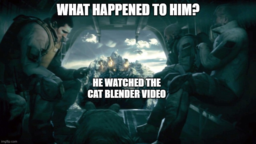 I accidentily watched it... | WHAT HAPPENED TO HIM? HE WATCHED THE CAT BLENDER VIDEO | image tagged in medal of honor | made w/ Imgflip meme maker