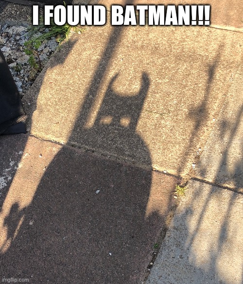 I FOUND BATMAN!!! | image tagged in funny | made w/ Imgflip meme maker