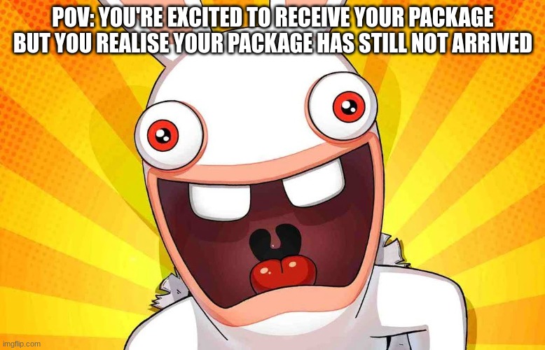 Rabbid Screaming | POV: YOU'RE EXCITED TO RECEIVE YOUR PACKAGE BUT YOU REALISE YOUR PACKAGE HAS STILL NOT ARRIVED | image tagged in rabbid screaming,animal crossing,amiibo,rabbids | made w/ Imgflip meme maker