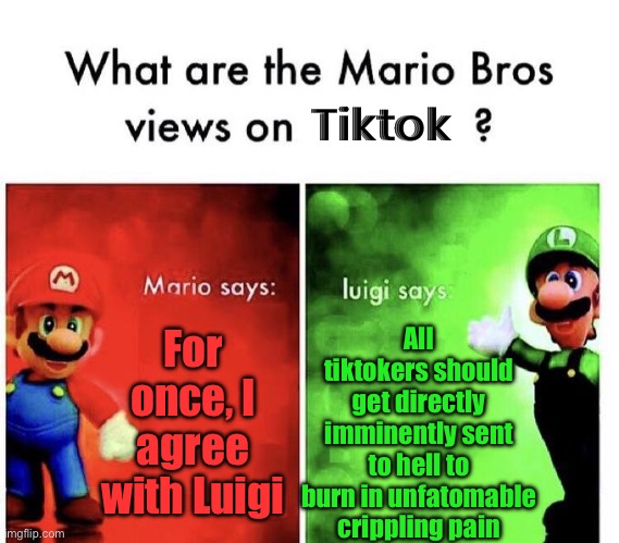 Mario Bros Views | Tiktok; All tiktokers should get directly imminently sent to hell to burn in unfatomable crippling pain; For once, I agree with Luigi | image tagged in mario bros views | made w/ Imgflip meme maker