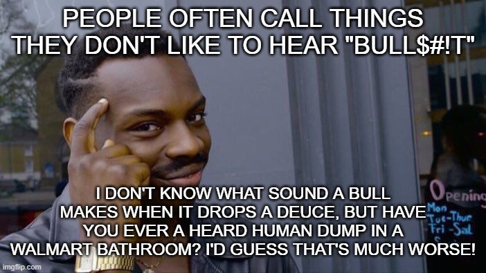 How do you know what a bull sounds like? | PEOPLE OFTEN CALL THINGS THEY DON'T LIKE TO HEAR "BULL$#!T"; I DON'T KNOW WHAT SOUND A BULL MAKES WHEN IT DROPS A DEUCE, BUT HAVE YOU EVER A HEARD HUMAN DUMP IN A WALMART BATHROOM? I'D GUESS THAT'S MUCH WORSE! | image tagged in memes,roll safe think about it | made w/ Imgflip meme maker