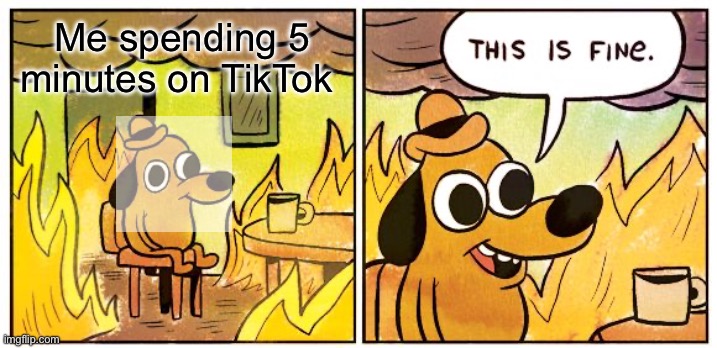 This Is Fine Meme | Me spending 5 minutes on TikTok | image tagged in memes,this is fine | made w/ Imgflip meme maker