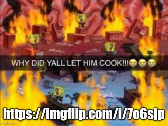 Why did y’all let him cook | https://imgflip.com/i/7o6sjp | image tagged in why did y all let him cook | made w/ Imgflip meme maker