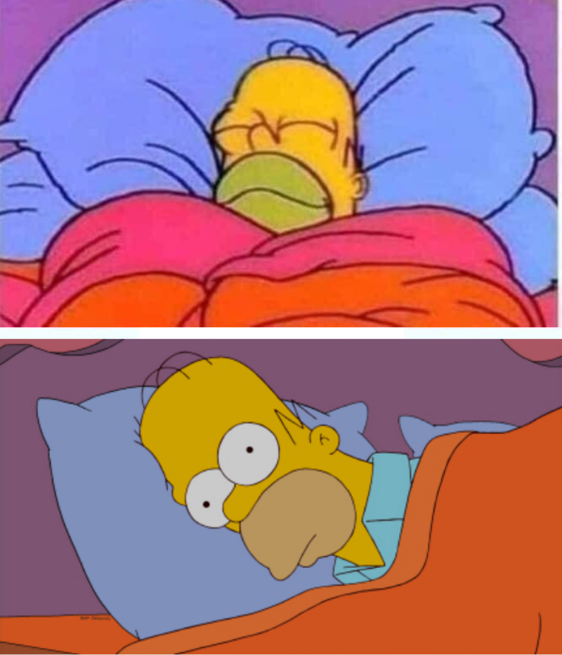 Homer sleeping vs can't sleep Blank Meme Template