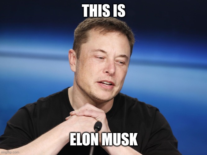 Elon Musk Responding | THIS IS ELON MUSK | image tagged in elon musk responding | made w/ Imgflip meme maker