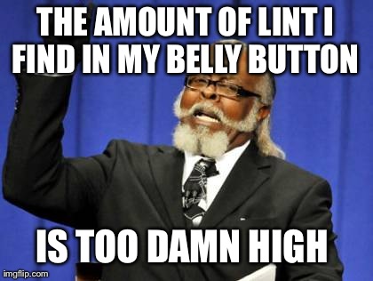 Too Damn High Meme | THE AMOUNT OF LINT I FIND IN MY BELLY BUTTON  IS TOO DAMN HIGH | image tagged in memes,too damn high | made w/ Imgflip meme maker