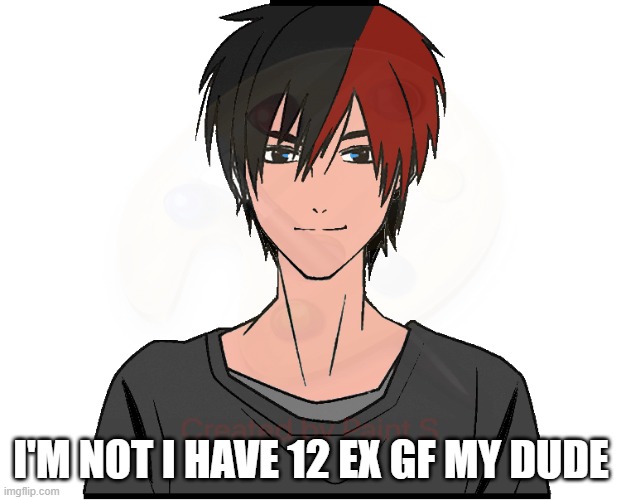Ethan's OC | I'M NOT I HAVE 12 EX GF MY DUDE | image tagged in ethan's oc | made w/ Imgflip meme maker