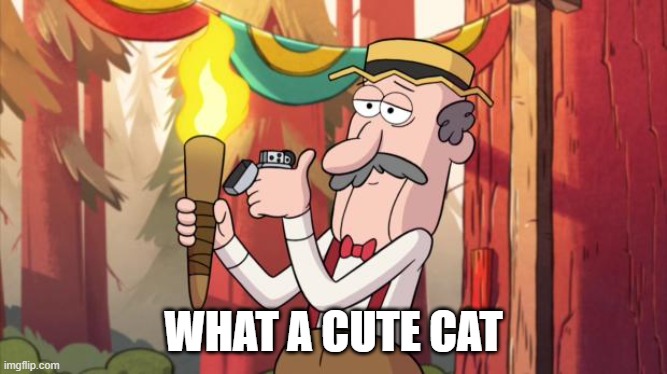 Gravity Falls Round Up The Mob | WHAT A CUTE CAT | image tagged in gravity falls round up the mob | made w/ Imgflip meme maker