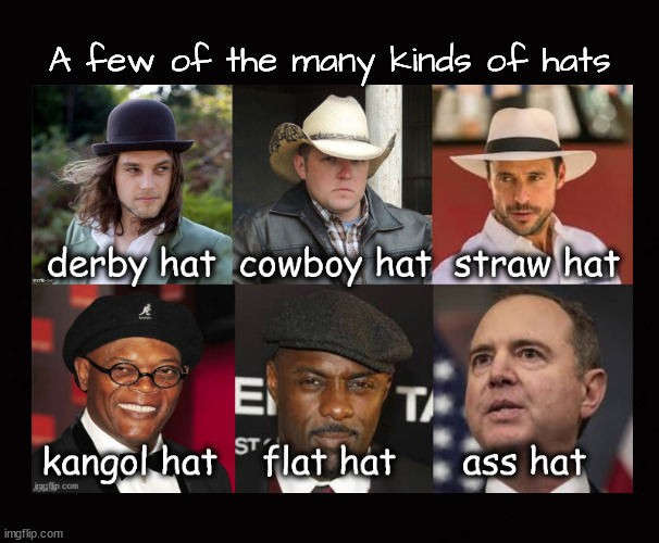 A few of the many kinds of hats | A few of the many kinds of hats | image tagged in mens hats | made w/ Imgflip meme maker