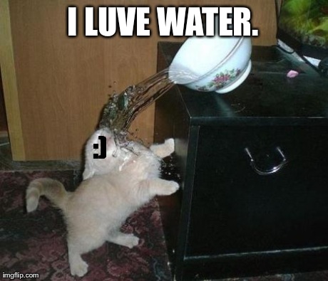 I LUVE WATER. :) | image tagged in funny,cats,fails | made w/ Imgflip meme maker