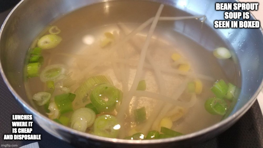 Bean Sprout Soup | BEAN SPROUT SOUP IS SEEN IN BOXED; LUNCHES WHERE IT IS CHEAP AND DISPOSABLE | image tagged in food,soup,memes | made w/ Imgflip meme maker