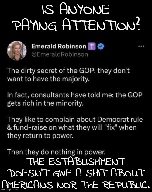 Wake up, people. The system is rigged against you! | IS ANYONE PAYING ATTENTION? THE ESTABLISHMENT DOESN'T GIVE A SHIT ABOUT AMERICANS NOR THE REPUBLIC. | image tagged in republicans,democrats | made w/ Imgflip meme maker