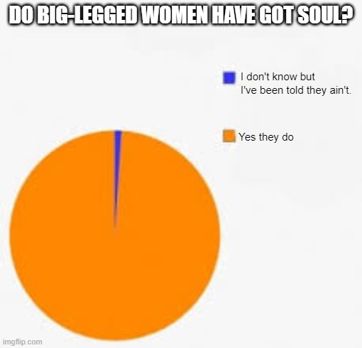 big-legged women | DO BIG-LEGGED WOMEN HAVE GOT SOUL? I don't know but I've been told they ain't. Yes they do | image tagged in pie chart meme,rock music,music,led zeppelin | made w/ Imgflip meme maker