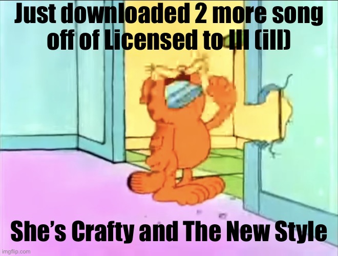 Garfield drywall | Just downloaded 2 more song off of Licensed to Ill (ill); She’s Crafty and The New Style | image tagged in garfield drywall | made w/ Imgflip meme maker