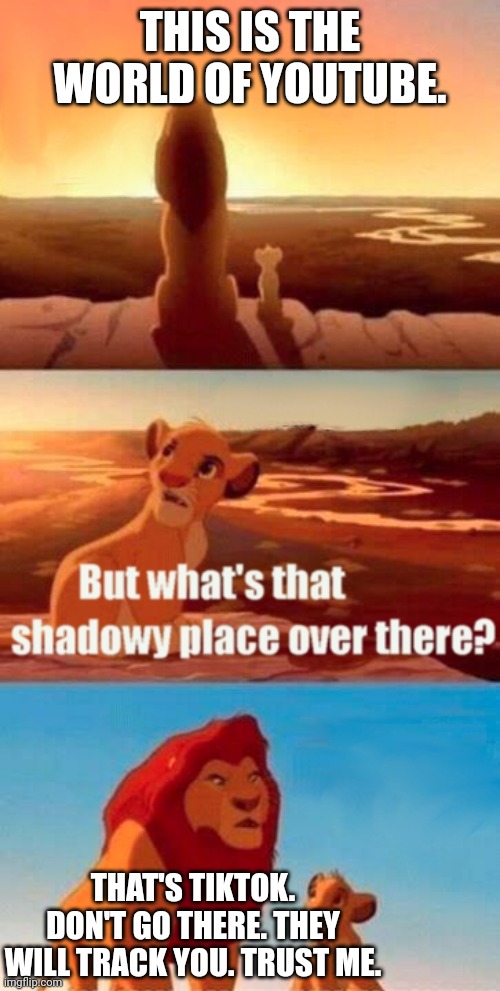 TikTok will track you | THIS IS THE WORLD OF YOUTUBE. THAT'S TIKTOK. DON'T GO THERE. THEY WILL TRACK YOU. TRUST ME. | image tagged in memes,simba shadowy place,youtube,tiktok | made w/ Imgflip meme maker