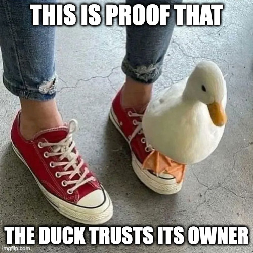 Duck on Owner's Foot | THIS IS PROOF THAT; THE DUCK TRUSTS ITS OWNER | image tagged in duck,memes | made w/ Imgflip meme maker