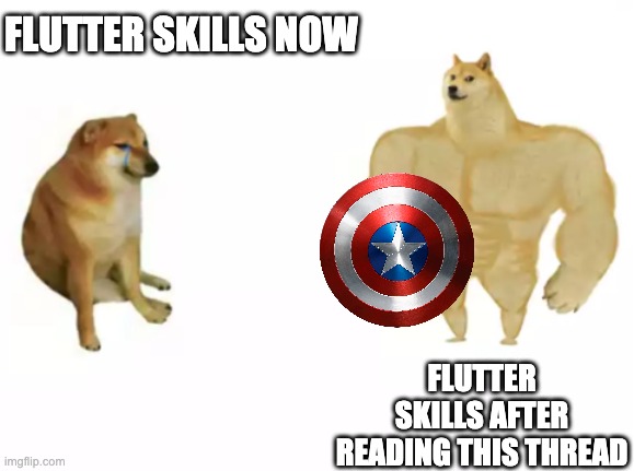 buff doge vs cheems reversed | FLUTTER SKILLS NOW; FLUTTER SKILLS AFTER READING THIS THREAD | image tagged in buff doge vs cheems reversed | made w/ Imgflip meme maker