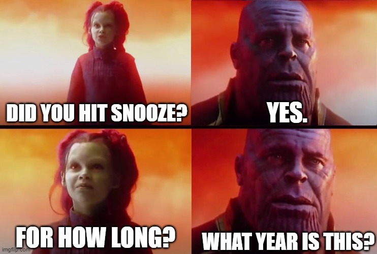 We´ve all been there | YES. DID YOU HIT SNOOZE? WHAT YEAR IS THIS? FOR HOW LONG? | image tagged in what did it cost,sleep | made w/ Imgflip meme maker