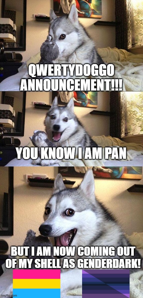 I just use bad pun dog as my announcement template | QWERTYDOGGO ANNOUNCEMENT!!! YOU KNOW I AM PAN; BUT I AM NOW COMING OUT OF MY SHELL AS GENDERDARK! | image tagged in memes,bad pun dog | made w/ Imgflip meme maker