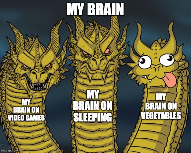 Three-headed Dragon | MY BRAIN; MY BRAIN ON SLEEPING; MY BRAIN ON VEGETABLES; MY BRAIN ON VIDEO GAMES | image tagged in three-headed dragon | made w/ Imgflip meme maker