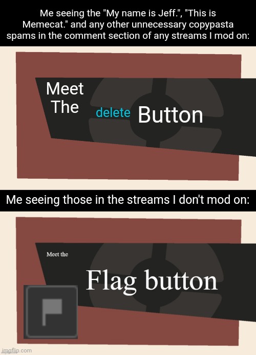 On my duty: patrolling the stream, especially the fun stream in case of copypastas | Me seeing the "My name is Jeff.", "This is Memecat." and any other unnecessary copypasta spams in the comment section of any streams I mod on:; Meet The; Button; delete; Me seeing those in the streams I don't mod on: | image tagged in meet the flag button,troopers,trooper,duty,patrol,memes | made w/ Imgflip meme maker