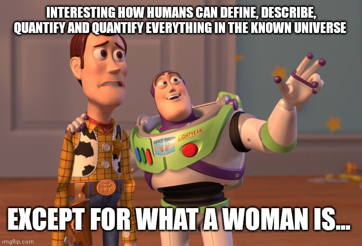 X, X Everywhere | INTERESTING HOW HUMANS CAN DEFINE, DESCRIBE, QUANTIFY AND QUANTIFY EVERYTHING IN THE KNOWN UNIVERSE; EXCEPT FOR WHAT A WOMAN IS... | image tagged in memes,x x everywhere | made w/ Imgflip meme maker