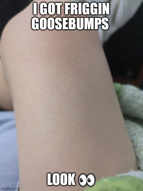 Goosebumps | I GOT FRIGGIN GOOSEBUMPS; LOOK 👀 | image tagged in legs | made w/ Imgflip meme maker