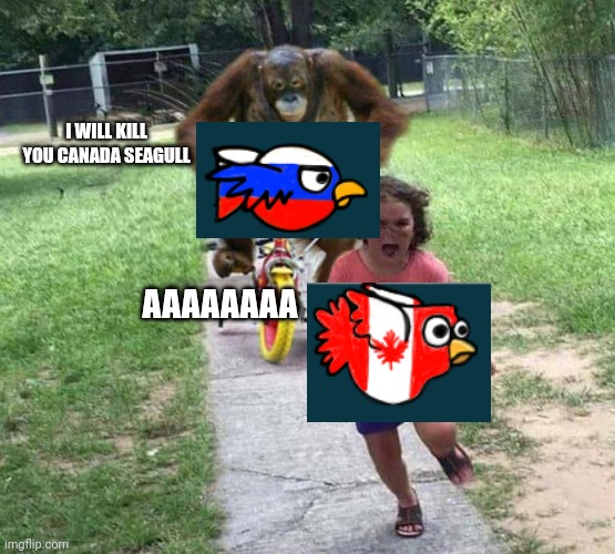 Country Evoworld io part 1 | I WILL KILL YOU CANADA SEAGULL; AAAAAAAA | image tagged in run,country | made w/ Imgflip meme maker