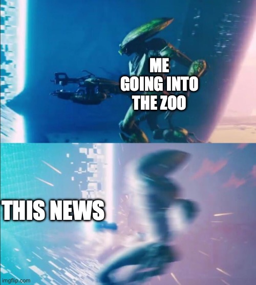 Lets do this... what the hell | ME GOING INTO THE ZOO THIS NEWS | image tagged in lets do this what the hell | made w/ Imgflip meme maker